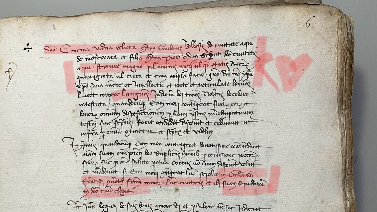 Meet Concima: a self-portrait from 1400s to defeat time and oblivion